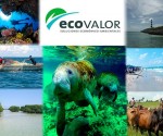 ecovalor-hg