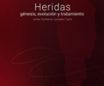 Heridas.-Genesis-evolucion-y-tratamiento-cubierta-2-209x300