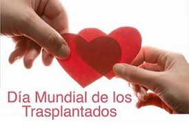 descarga