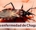 ENFERMEDAD DE CHAGAS