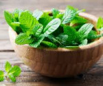 menta