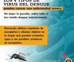 denguen2