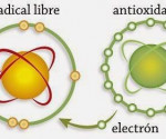 radicales libres