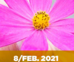 dm-epilepsia-2021-215x300